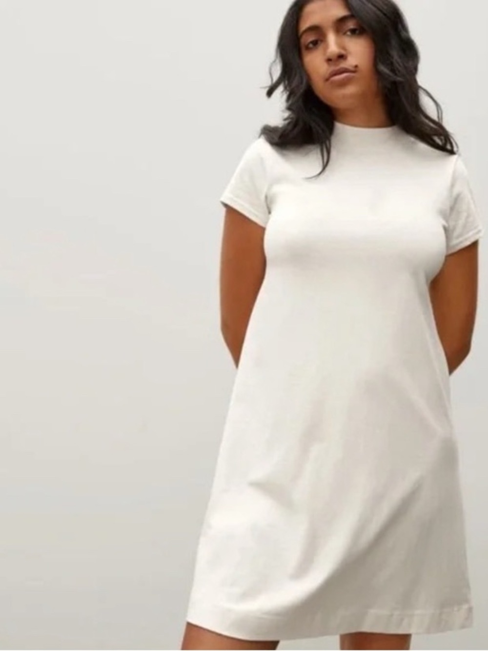 Everlane The Weekend 100% Cotton Dress